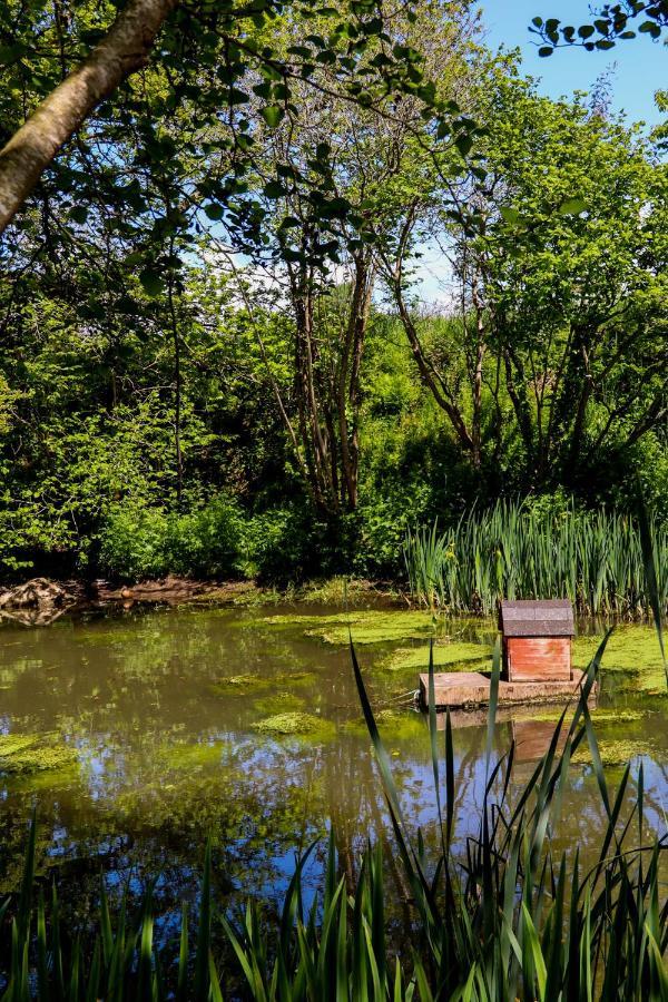 Ty La Source Bed and Breakfast Plestin-les-Grèves Buitenkant foto